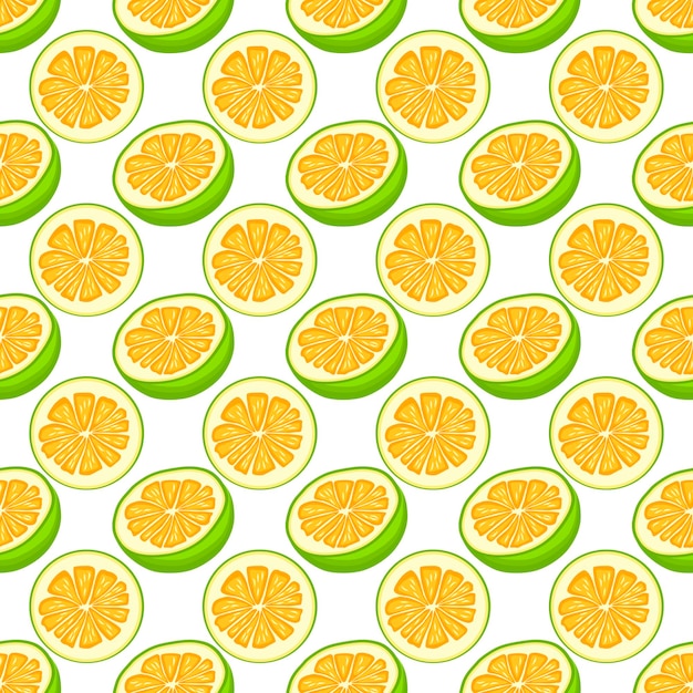 Illustration Sur Le Thème Grand Pomelo Sans Couture Coloré