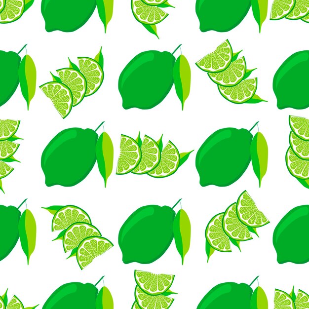 Illustration sur le thème gros citron vert transparent coloré