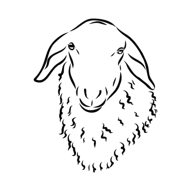 Illustration tirée par la main de style de croquis de mouton de la belle ligne animale noire et blanche