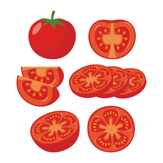 Vecteur illustration de tomate