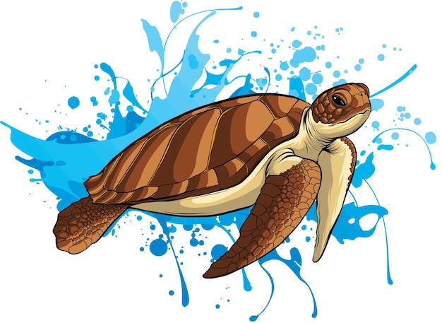 Illustration De Tortue De Mer Sur L'eau