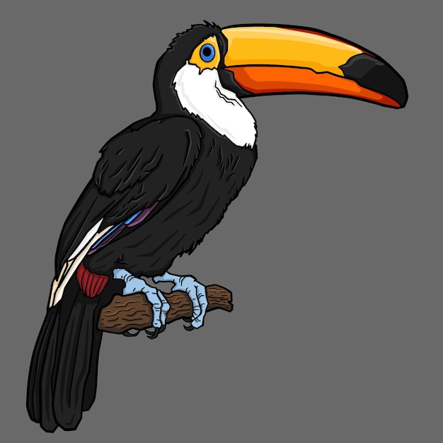 Vecteur illustration de toucan sur branche