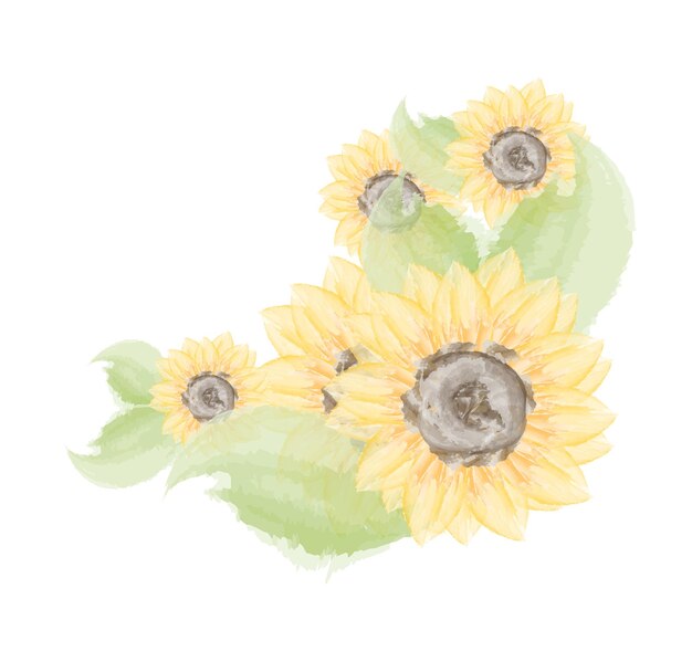 Vecteur illustration de tournesol à l'aquarelle