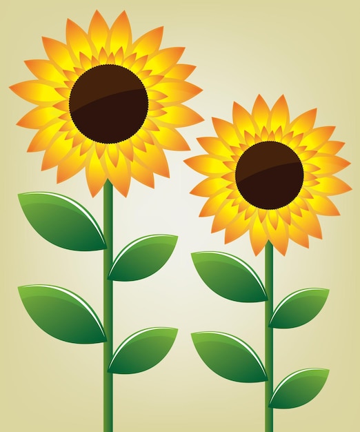 Vecteur illustration de tournesol