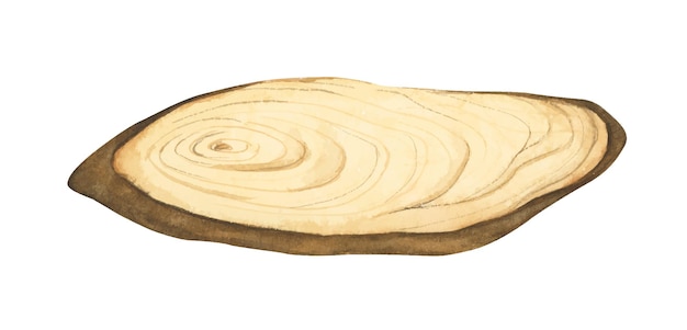 Vecteur illustration de tranche de bois panneau en bois coupe transversale du tronc d'arbre style aquarelle