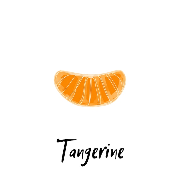 Vecteur illustration d'une tranche de mandarine isolée sur fond blanc