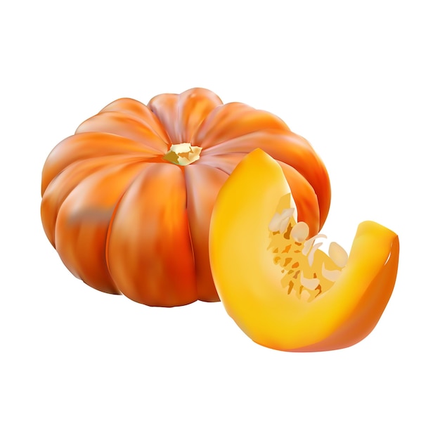 illustration de tranche de tarte à la citrouille sur fond blanc Vol 01
