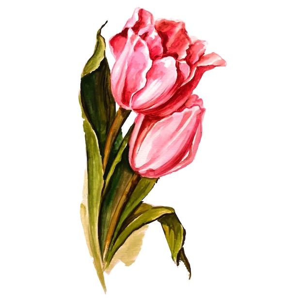 Vecteur illustration tulipe rouge dessiné à la main