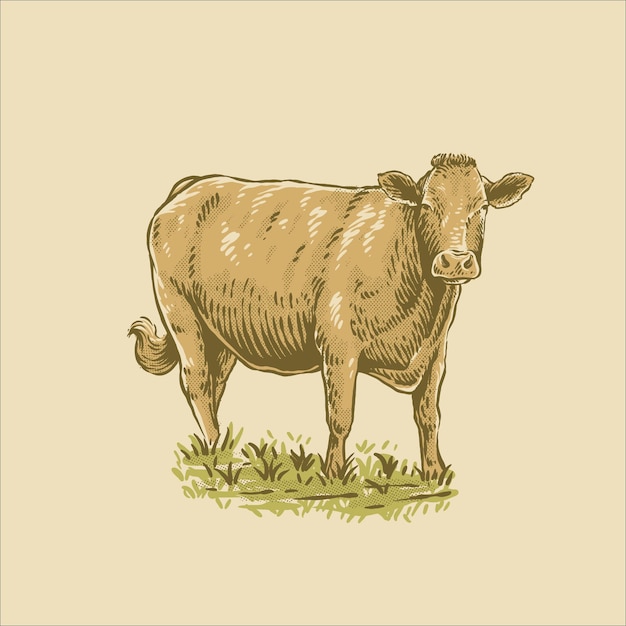 Vecteur illustration de vache vintage