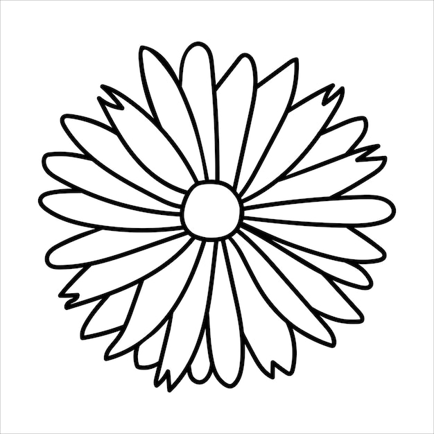 Illustration de vecteur de doodle fleur marguerite isolé sur blanc