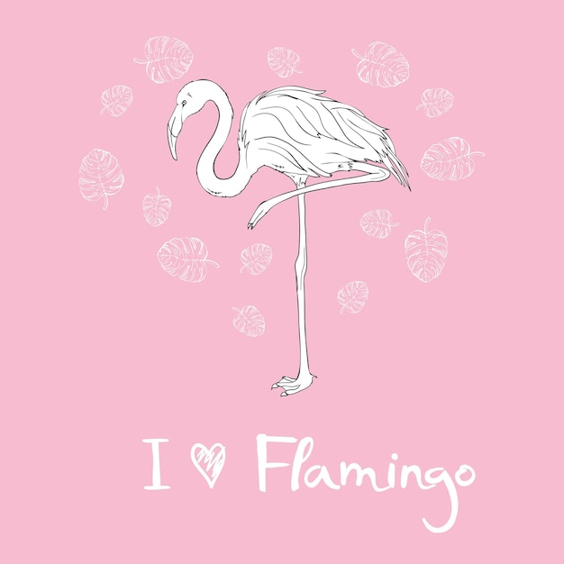 Illustration De Vecteur De Flamant Rose Isolé Sur Fond Blanc