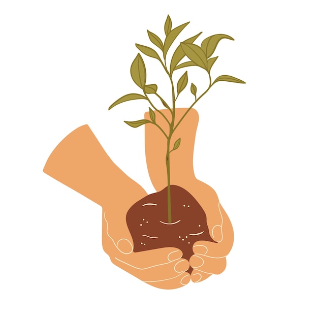 Illustration de vecteur isolé soigneusement planté