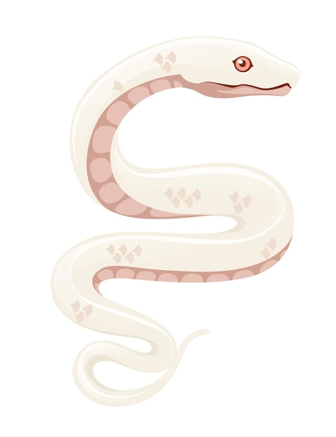 Illustration De Vecteur Plat De Dessin Animé De Serpent Albinos Blanc Dessin Animé Isolé Sur Fond Blanc.