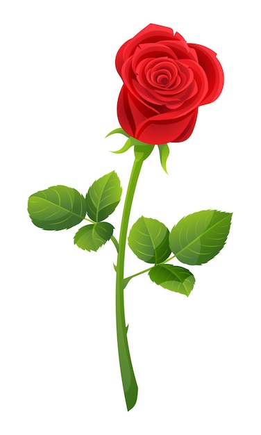 Une illustration de vecteur de rose rouge isolée sur blanc