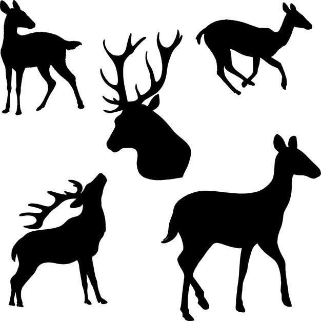 Vecteur illustration vector silhouette de cerf dessiné à la main