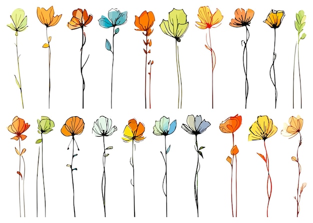 Illustration Vectorielle Abstraite De Fleurs De Prairie éléments De Conception Isolés Sur Fond Blanc