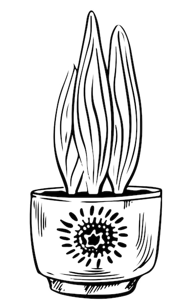 Vecteur illustration vectorielle d'agave en pot de plante d'intérieur style de contour succulent isolé sur fond blanc