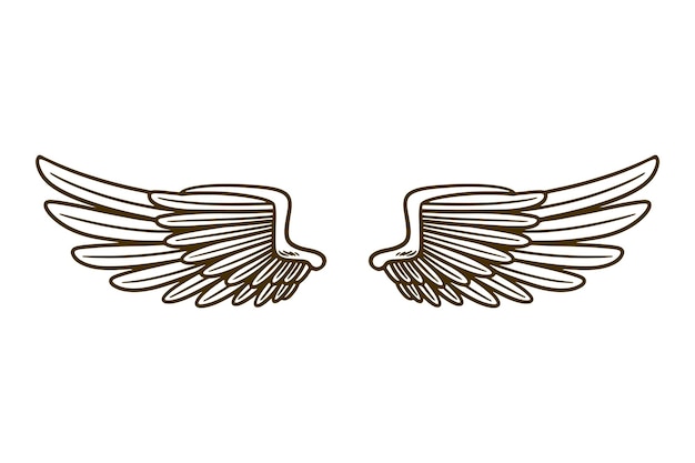 Illustration vectorielle d'aile d'aigle