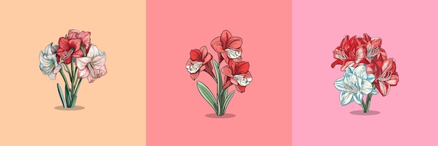 Illustration Vectorielle D'amaryllis