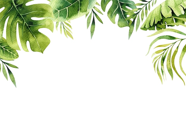 Vecteur illustration vectorielle aquarelle cadre tropical d'été avec des feuilles de bananier monstera et des feuilles de palmier parfait pour les invitations de mariage imprime des affiches de cartes postales