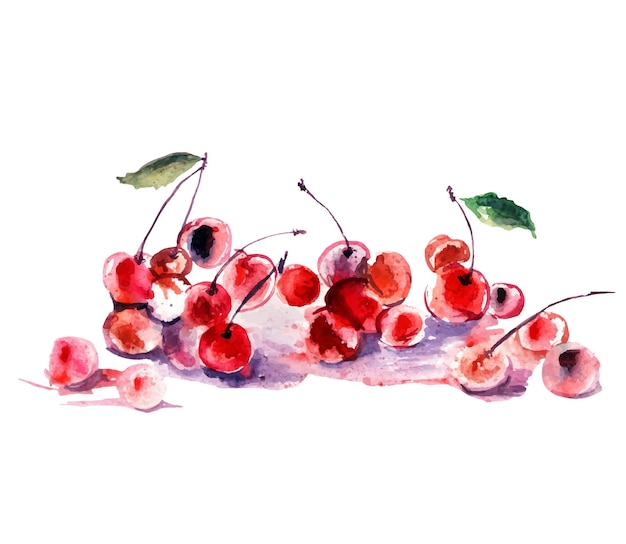 illustration vectorielle aquarelle de cerise mignonne