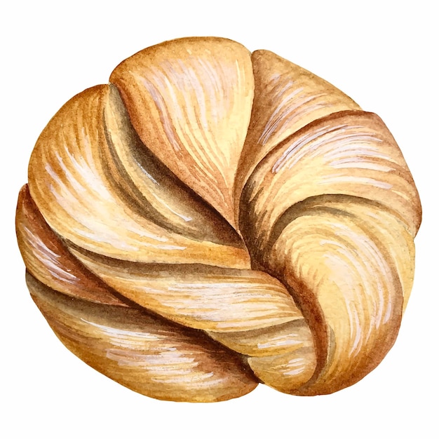 Illustration vectorielle aquarelle chignon. Pâtisserie.