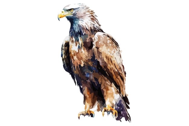 Illustration Vectorielle Aquarelle Eagle