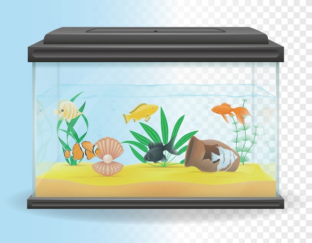 Vecteur illustration vectorielle aquarium transparent