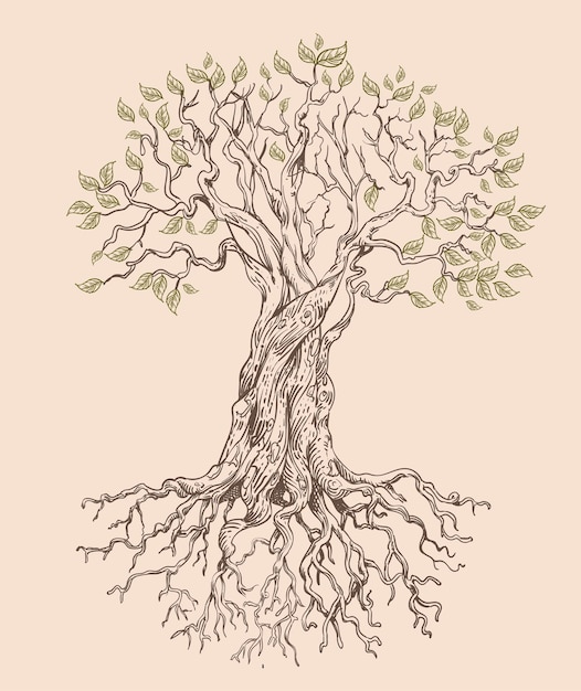 Illustration Vectorielle De L'arbre De Vie