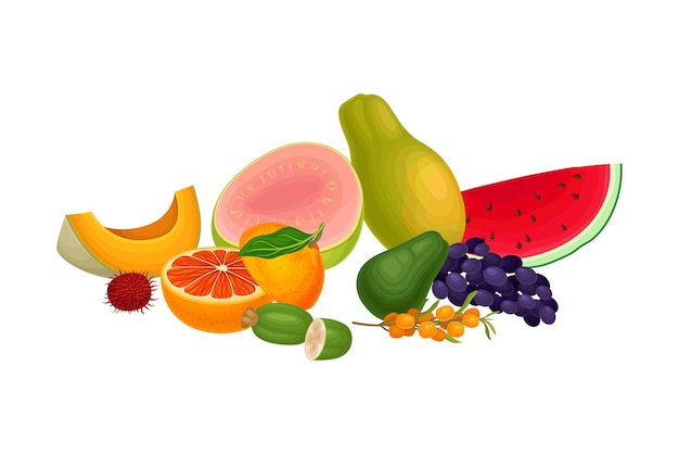 Illustration Vectorielle De L'arrangement Ou De La Composition Des Fruits Exotiques Mixtes