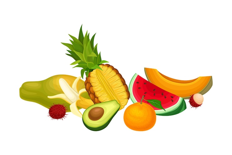 Vecteur illustration vectorielle de l'arrangement ou de la composition des fruits exotiques mixtes