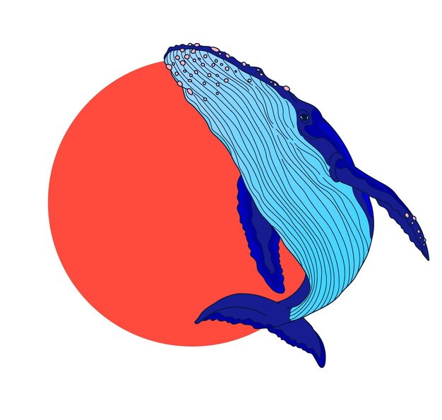 Illustration Vectorielle D'une Baleine Sur Fond Blanc
