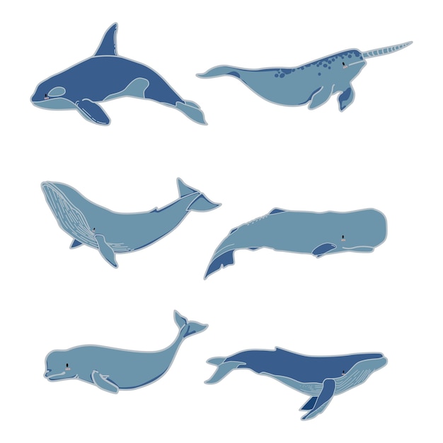 illustration vectorielle de baleine