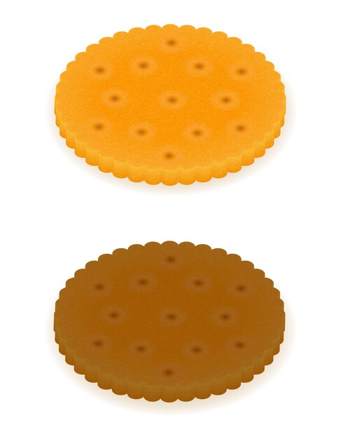 Vecteur illustration vectorielle de biscuit croustillant cookie