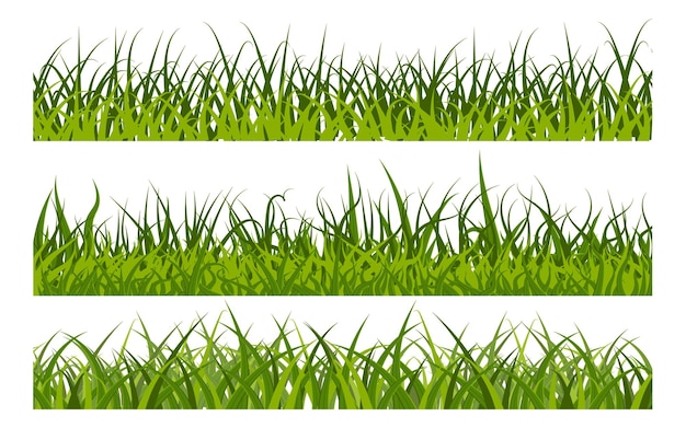 Illustration Vectorielle De Bordure D'herbe Verte Réaliste