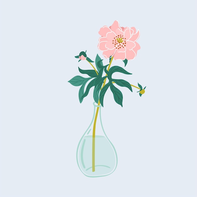 Illustration Vectorielle Botanique Dessinée à La Main De La Branche De Pion Dans Un Vase Avec De L'eau