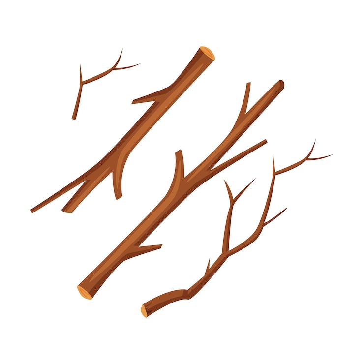 Vecteur illustration vectorielle de la branche d'arbre comme matière première pour l'industrie du bois