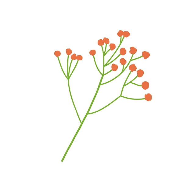 Vecteur illustration vectorielle d'une branche de baies dessinée à la main d'une plante d'automne