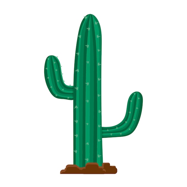 Illustration vectorielle cactus cactus sauvage dans le sol