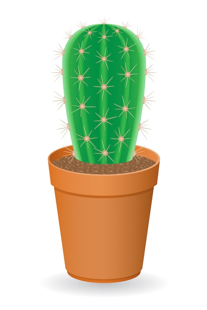 Illustration Vectorielle De Cactus