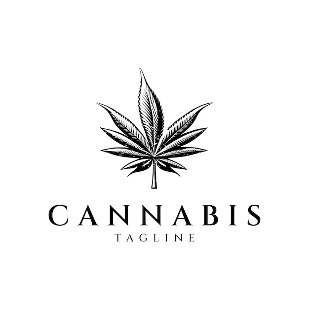 Illustration Vectorielle De Cannabis Logo Vintage Design