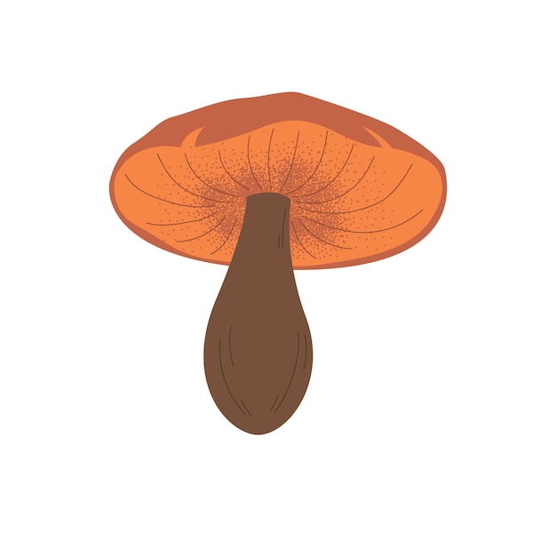 Illustration Vectorielle D'un Champignon Un Clipart Dessiné à La Main Sur Un Fond Blanc Isolé Champignon Forestier Comestible Style De Dessin Animé Graphique élément Mignon Pour Votre Conception