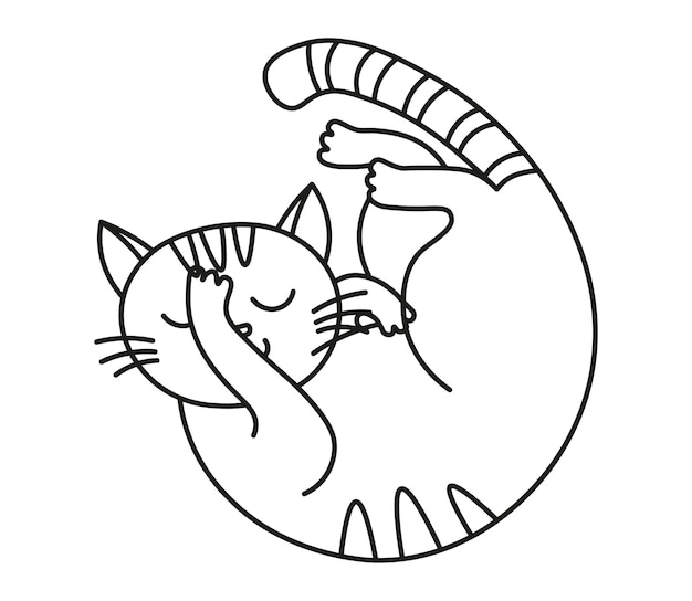 Vecteur illustration vectorielle de chat linéaire