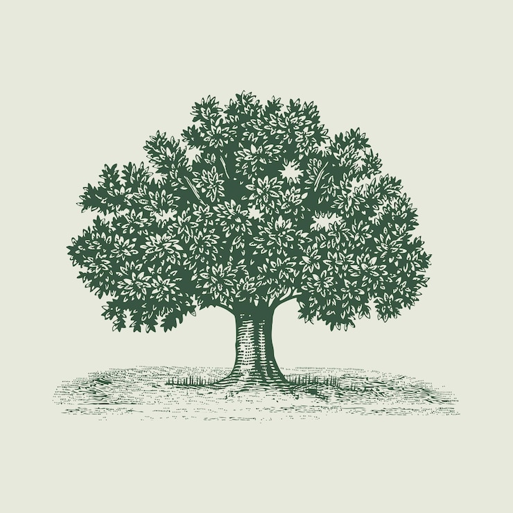 Vecteur illustration vectorielle de chêne vintage
