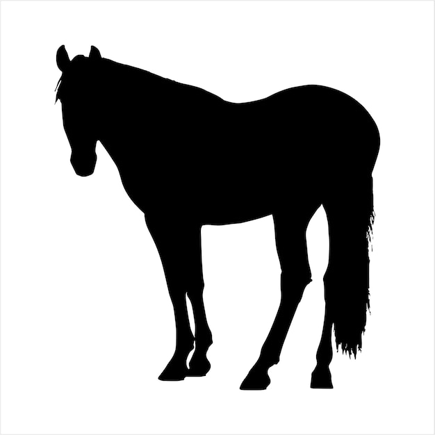 Illustration vectorielle de chevaux silhouette