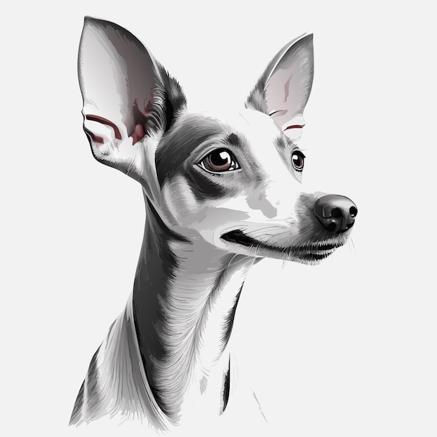 Illustration Vectorielle D'un Chien De Chasse Italien Extrêmement Mignon Et Heureux En Ligne Extrêmement Nette