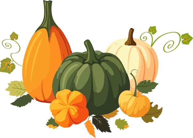 Illustration vectorielle de cinq grandes et petites citrouilles colorées de style dessin animé avec des feuilles sur fond blanc