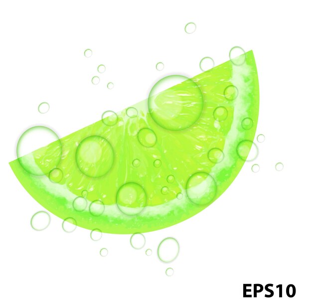 Illustration vectorielle de citron vert frais juteux fond