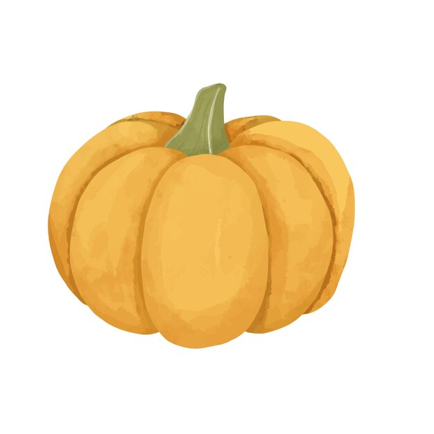 Vecteur illustration vectorielle de citrouille de couleur de l'eau conception de concept d'automne halloween et thanksgiving