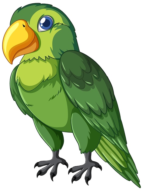 Illustration vectorielle colorée du perroquet